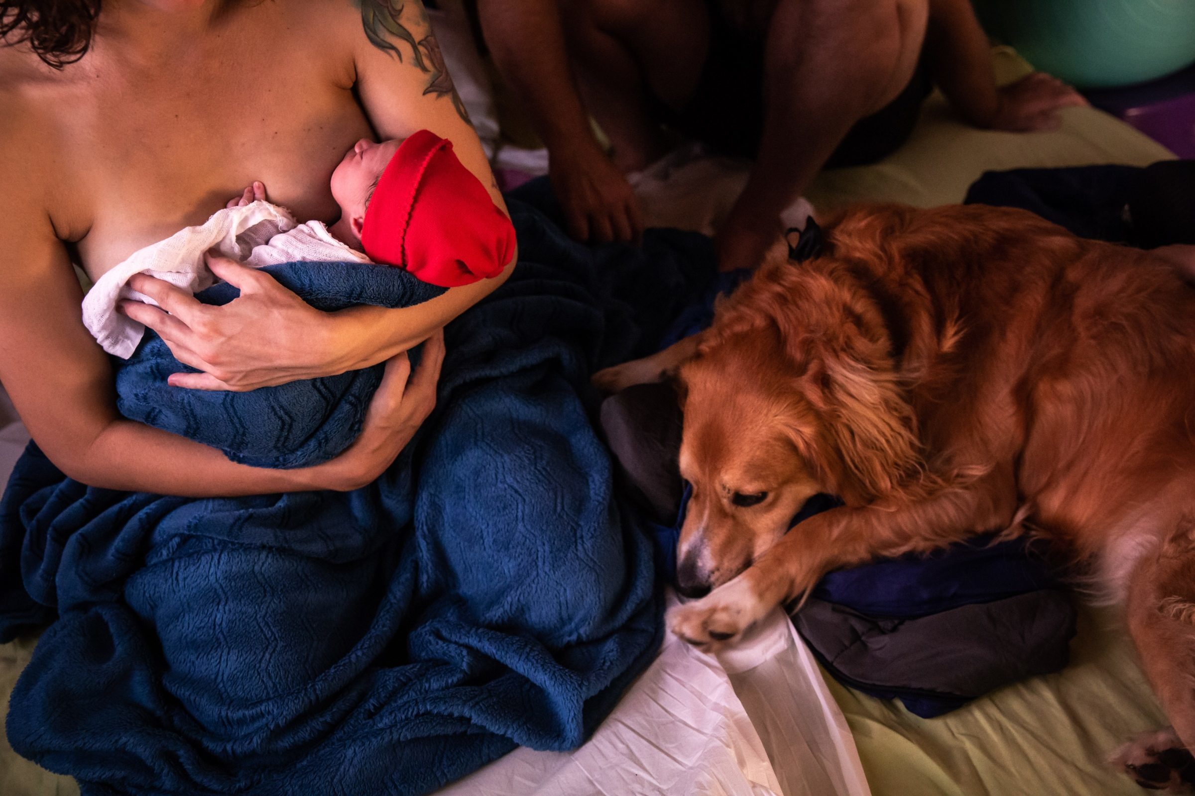 Foto de Luciana Zenti 9 Foto de Luciana Zenti 9