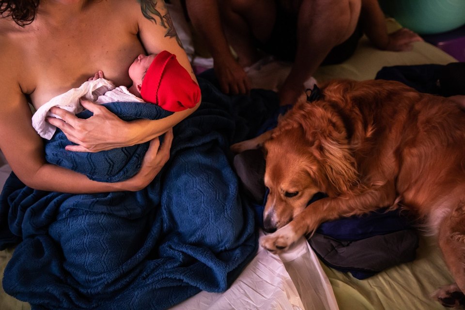 O nascimento do Bênjamin